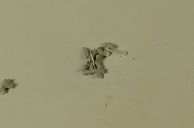 Detalle 4